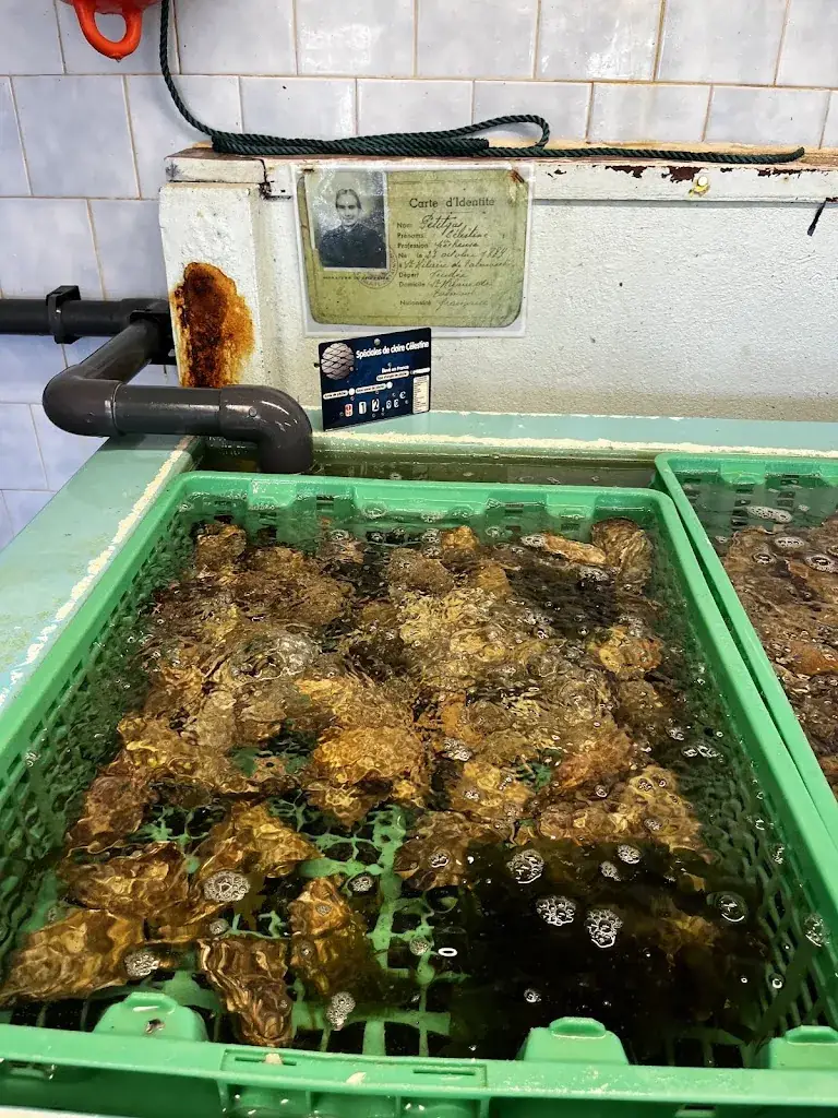 Menu_La Cabane du Ptitgas_Talmont-Saint-Hilaire_image_9