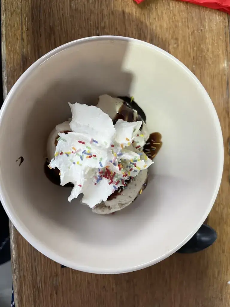 Julie Simon_Abri Des Dinos - Restaurant, Crêperie & Location de Salles_Talmont-Saint-Hilaire_review