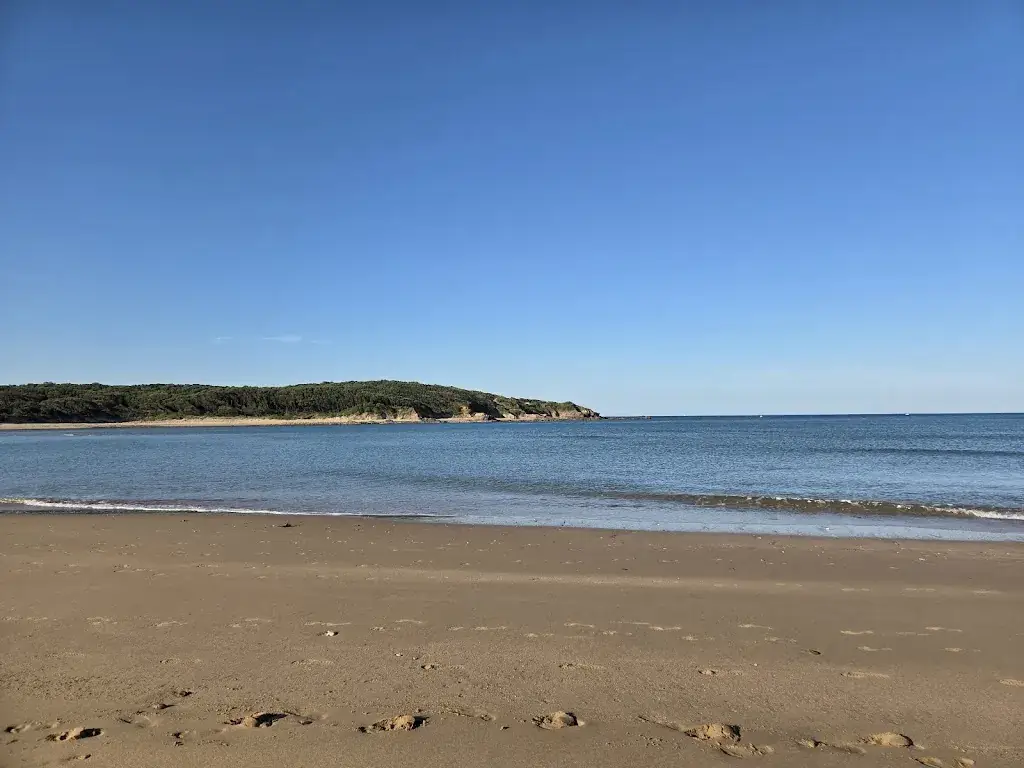 Nicolas WOLF_Le Veillon_Talmont-Saint-Hilaire_review