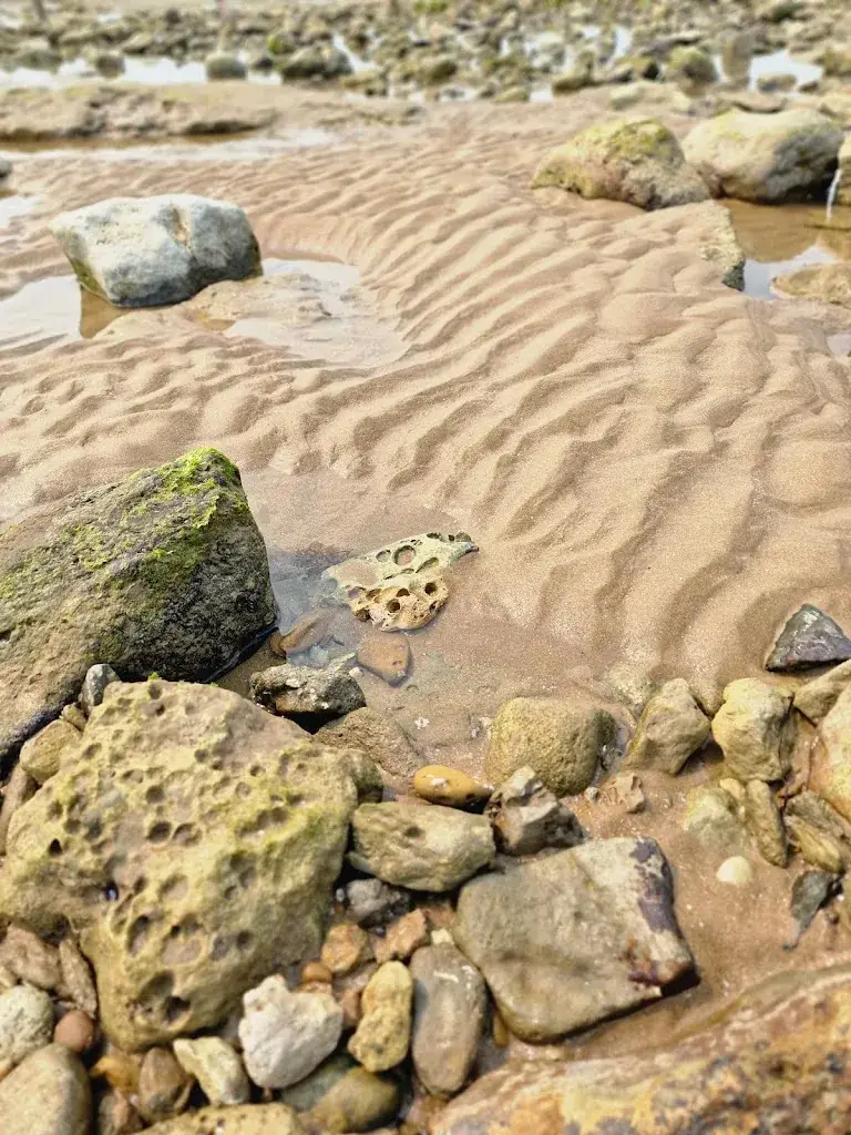 Le Veillon_Talmont-Saint-Hilaire_slider_image_2