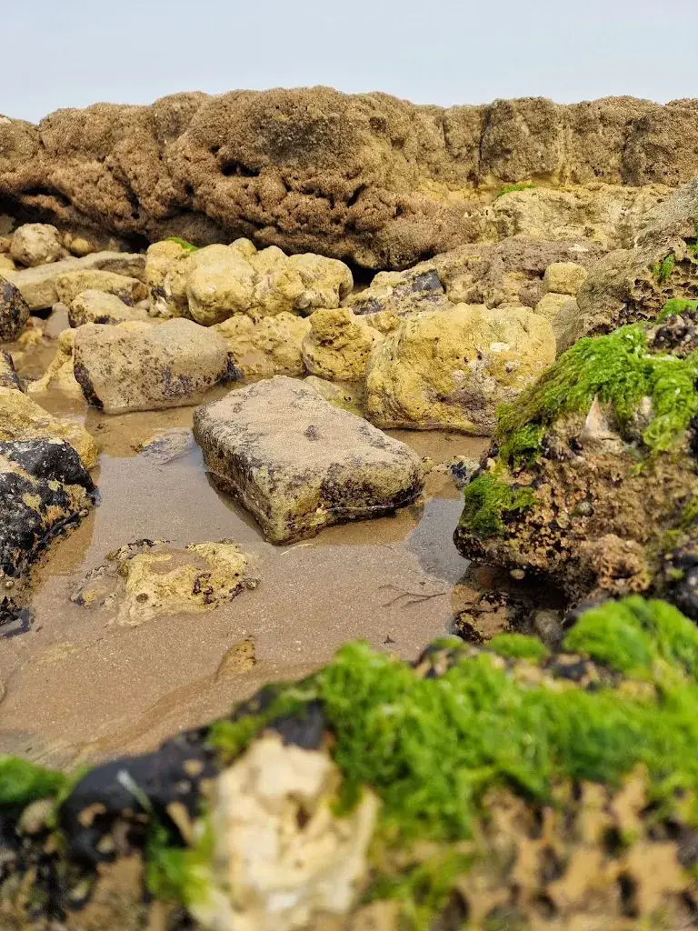 Le Veillon_Talmont-Saint-Hilaire_slider_image_3