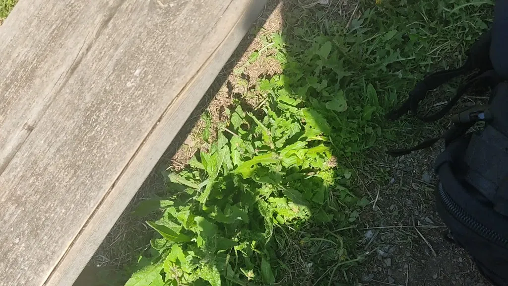 Castle Talmont_Talmont-Saint-Hilaire_slider_image_2