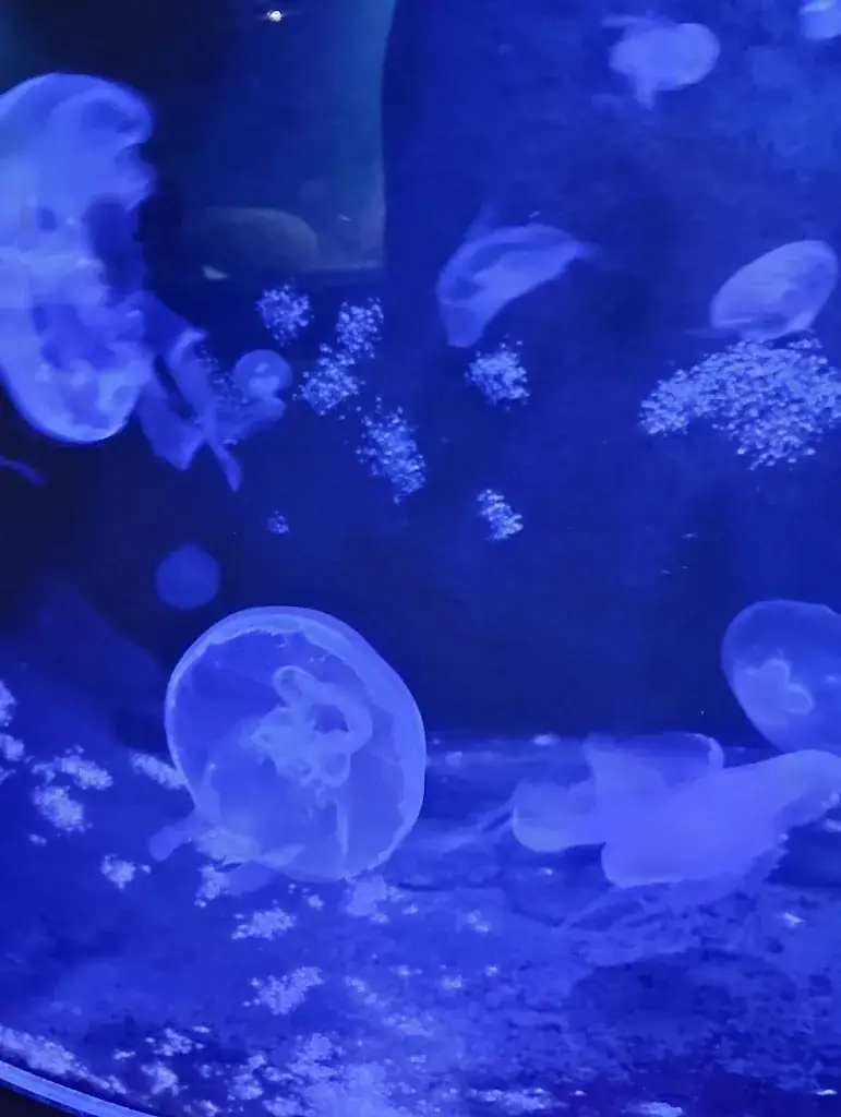 Peter Toogood_Aquarium de Vendée_Talmont-Saint-Hilaire_review