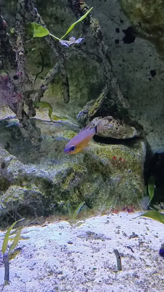 Aquarium de Vendée_Talmont-Saint-Hilaire_slider_image_2