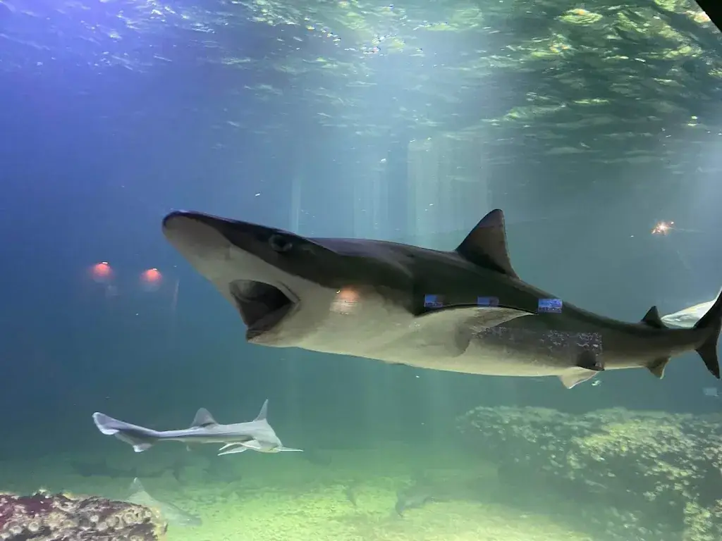 Aquarium de Vendée_Talmont-Saint-Hilaire_slider_image_3