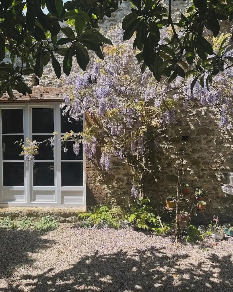 Jenny K_Gîte Domaine de la Guittière_Talmont-Saint-Hilaire_recensione