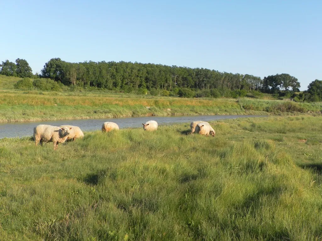 La Pinière_Talmont-Saint-Hilaire_slider_image_3
