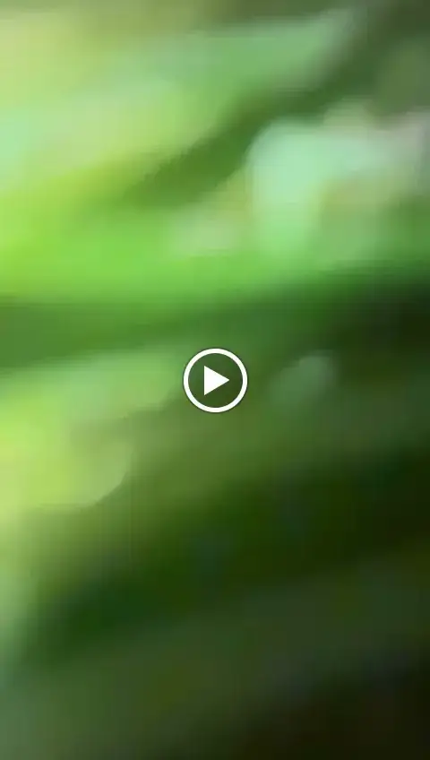 DELICIOUS PIZZA&BAR_Vallons-de-l'Erdre_slider_image_2