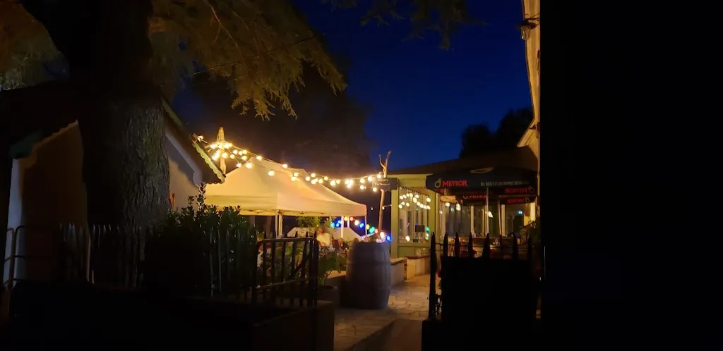 Daniel Nordberg_Guinguette de Port-Thibault_Sainte-Gemmes-sur-Loire_review