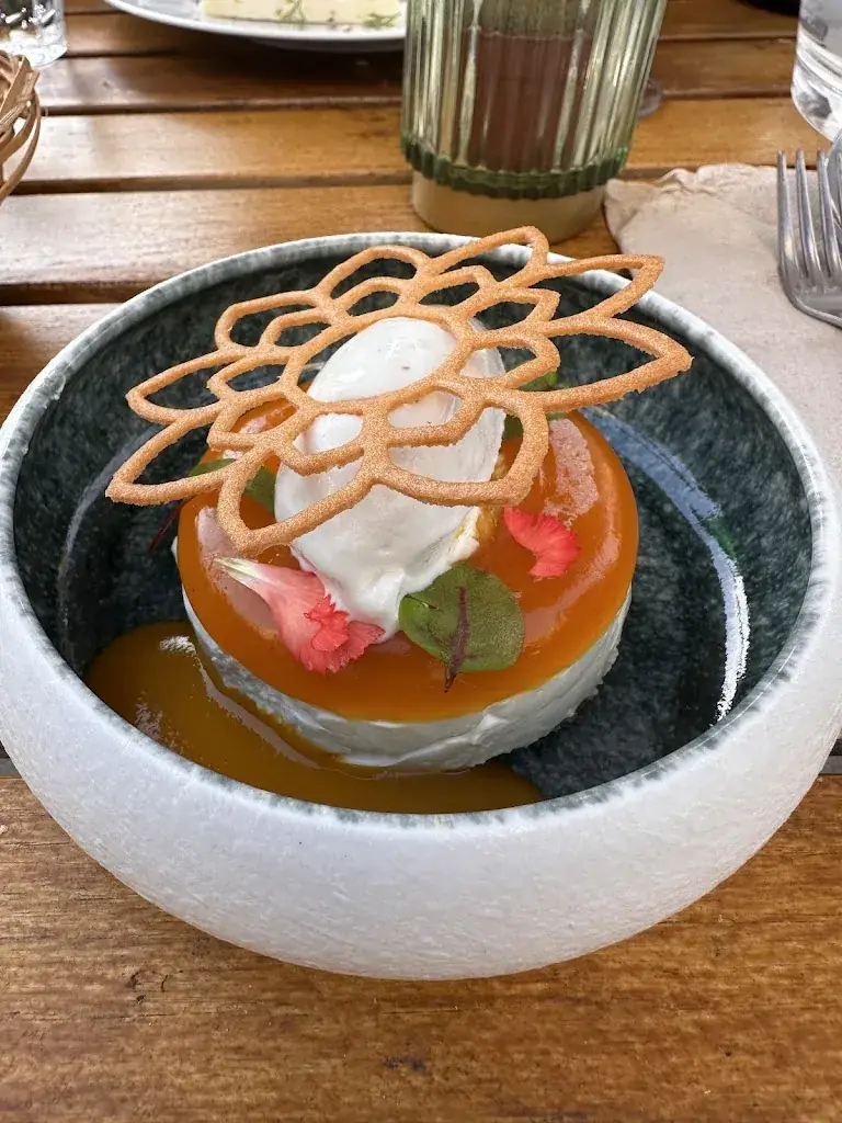 Carrie Alexander_MASAMA_Saumur_review