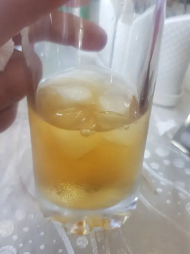 Menu_Topkapi Restaurant_Sudan_immagine_7