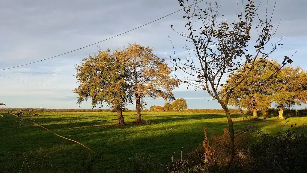 Restaurant de la Colonne_Sèvremoine_slider_image_2