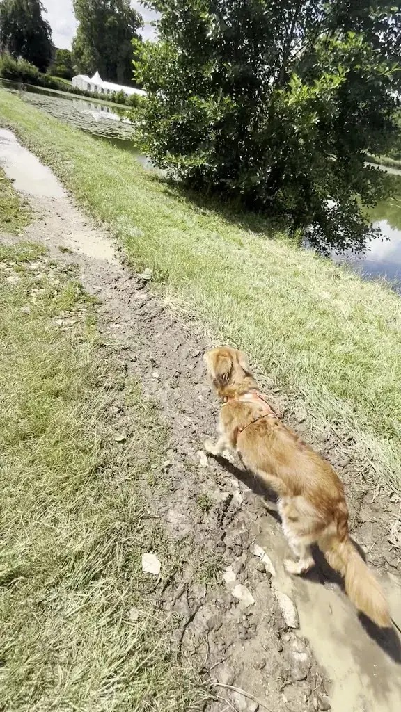 Gaëlle Mafe_Plan d'eau de Tuffé_72160_review