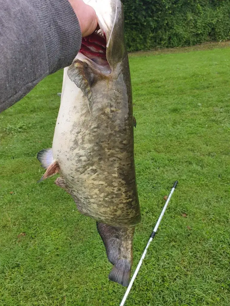 Plan d'eau de Tuffé_72160_slider_image_3