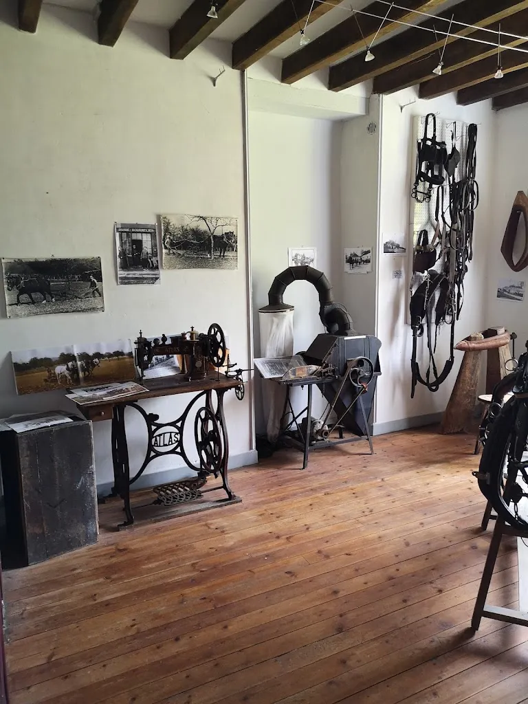 romuald messanges_Abbey Tuffé_Chéronne_recensione