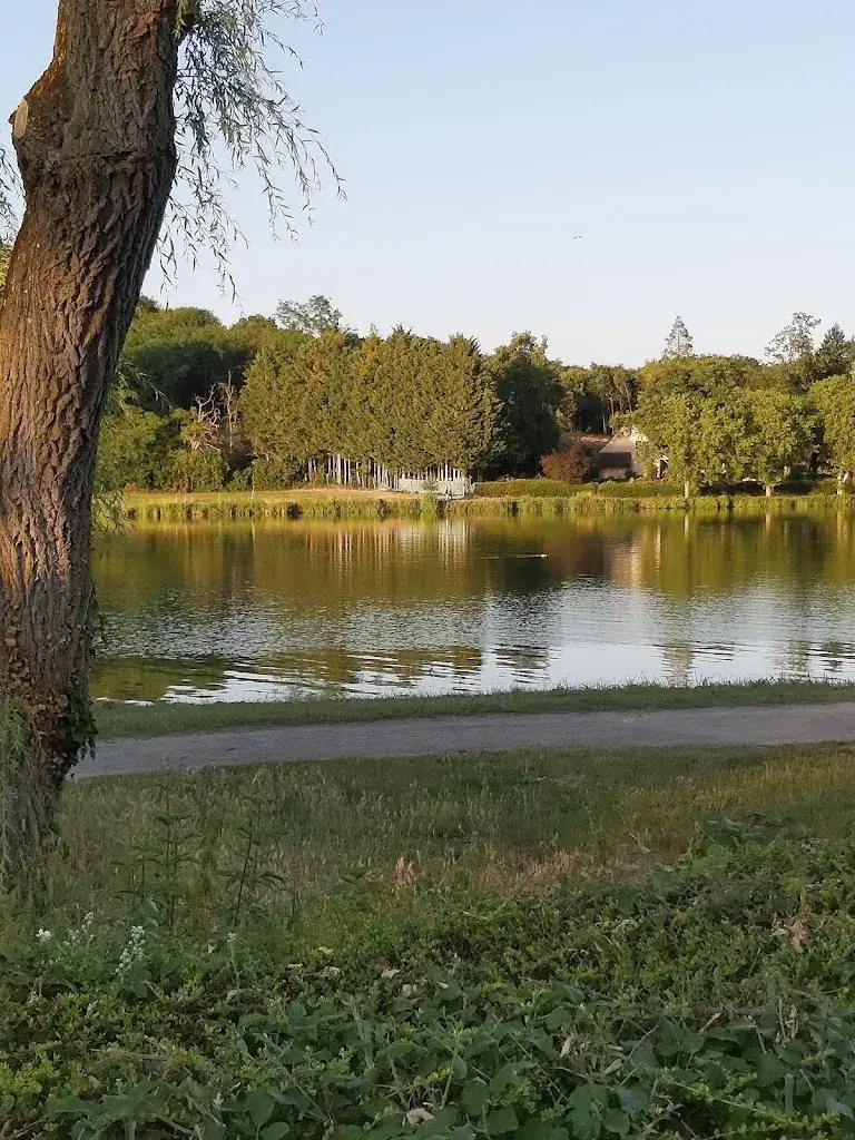 David James_CAMPING DU LAC ****_Chéronne_review