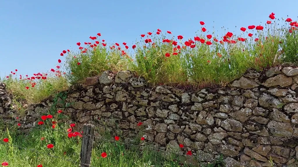 Castle Chéronne_Chéronne_slider_image_2