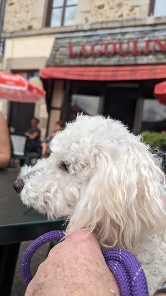 Gasgas_La Gouline_Villaines-la-Juhel_recensione