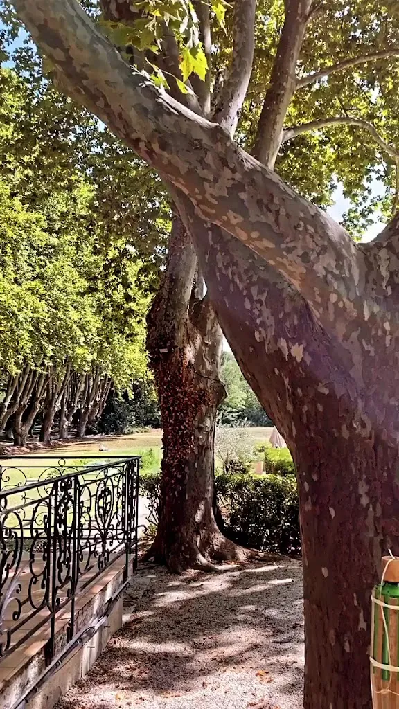 Moulin De Vernègues restaurant in Mallemort