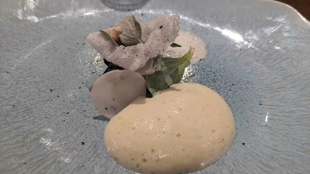 Menu_Sauvage_Aix-en-Provence_image_6