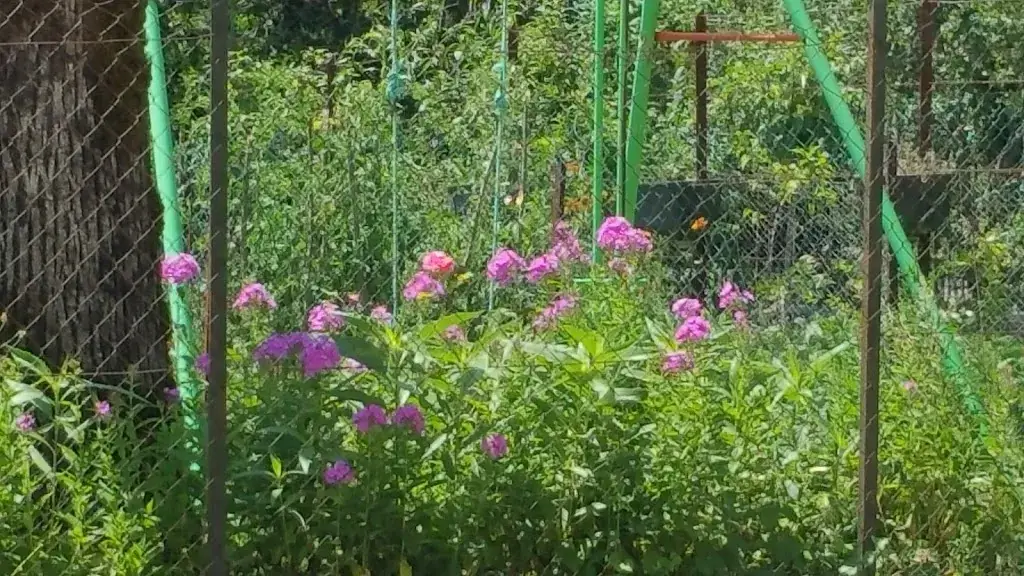 Dan Srebnick_La Table d'Angele_Annot_recensione