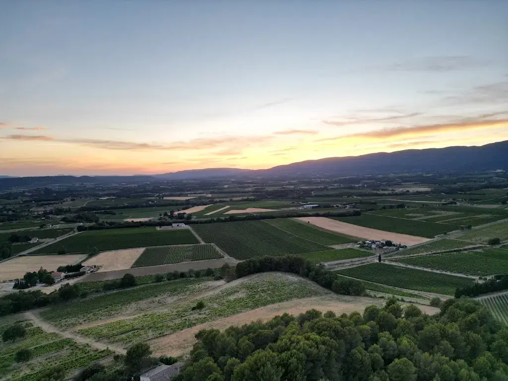 Sammy Lou_L'Art Glacier_Ansouis_review