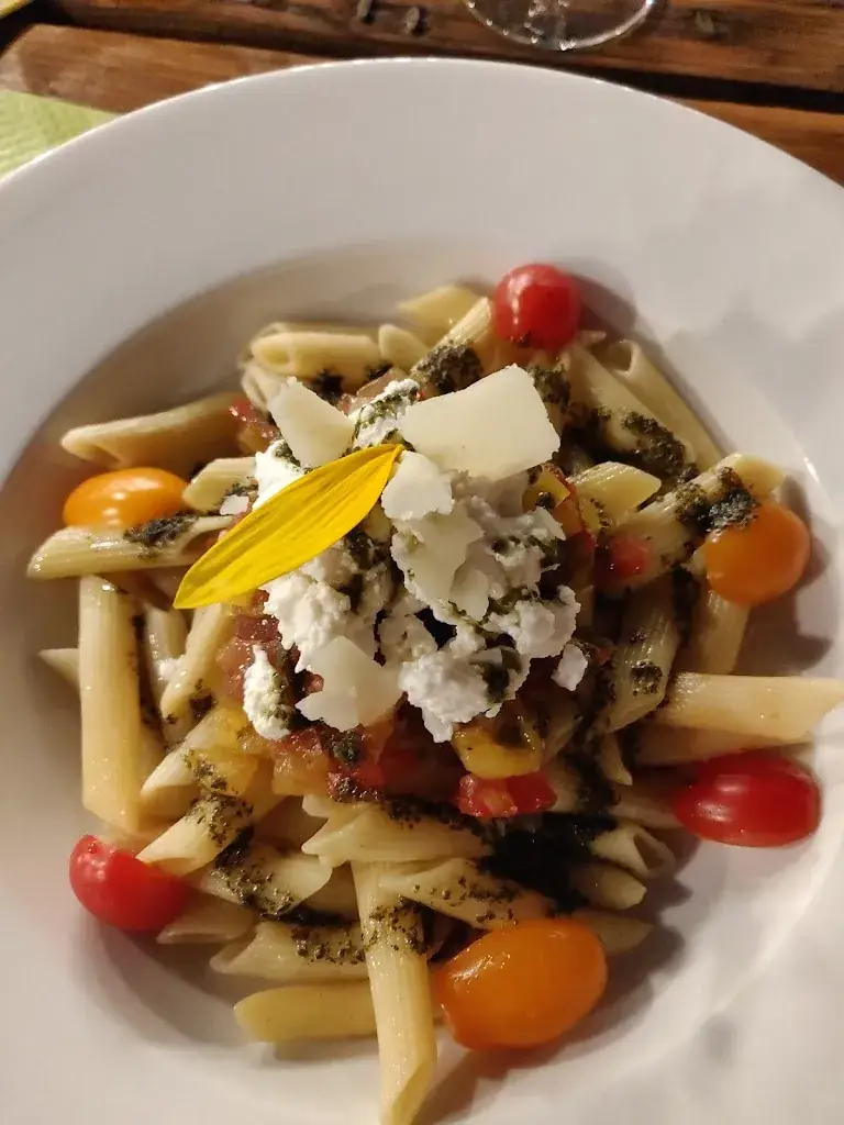 Shaun Malone_L'école Buissonniere_Sannes_recensione