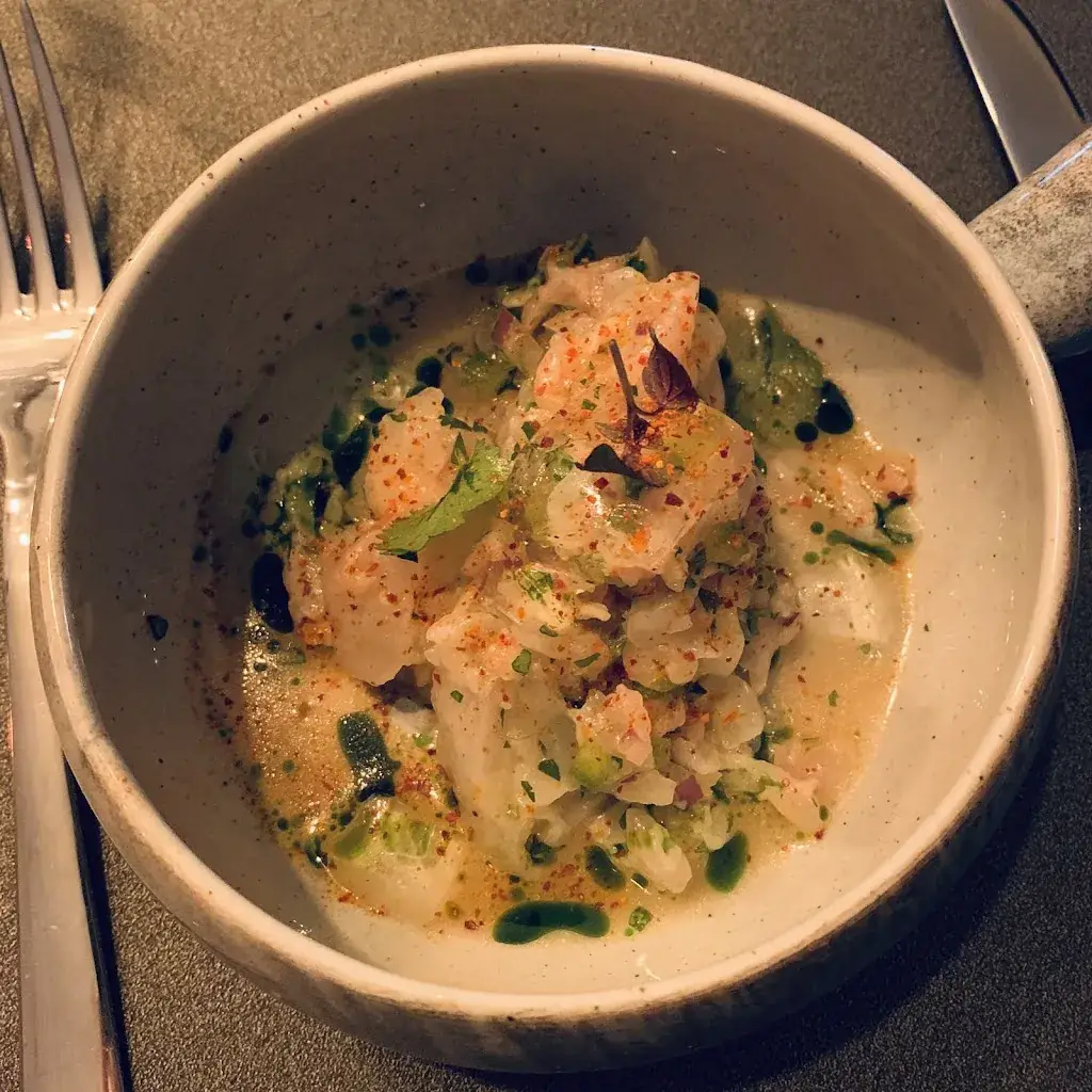 Basile Baudet_NOSSA_Pertuis_review