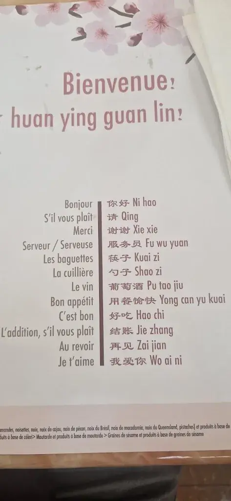 Menu_Jardin de chine_Neydens_image_1