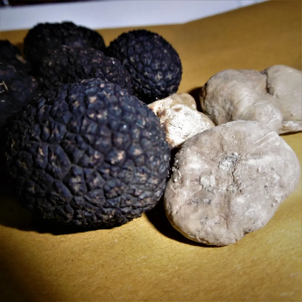 Menu_Romagna Mia_Antibes_image_9