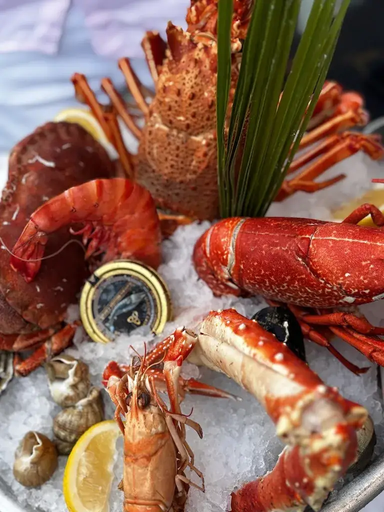 Alessandra Fraga_Mer Sea_Antibes_review