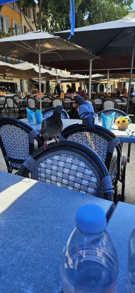 Erik Bråkenhielm_La Cascade - Restaurant - Pizzeria - Bar (nouveaux propriétaires)_Antibes_recensione