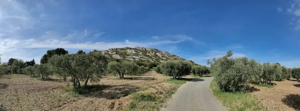 Olivier M._Le Panorama des Alpilles_Aureille_review