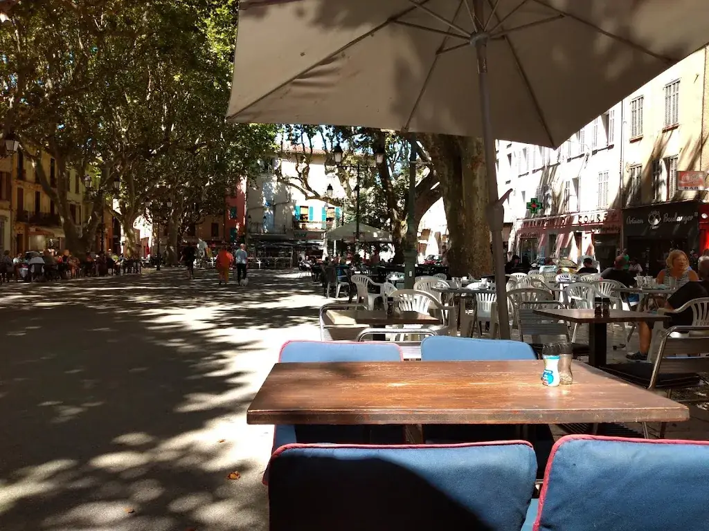 Café Des Vignes restaurant in Salernes