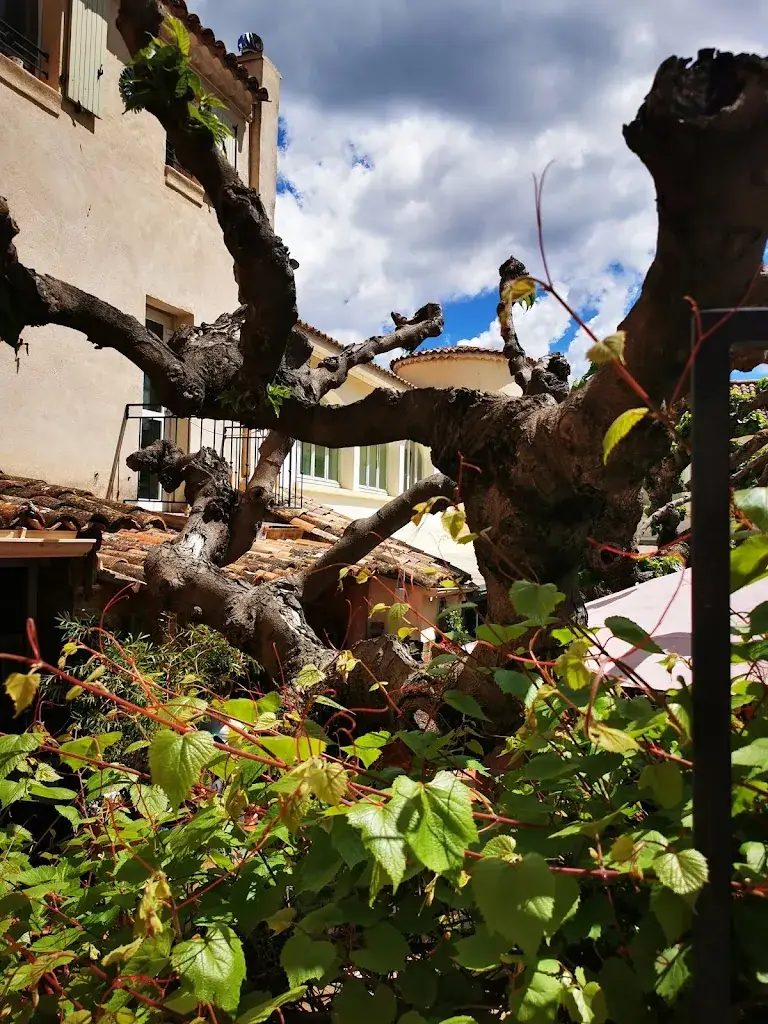 Kristina P_Logis Hôtel le Provençal_Aups_review