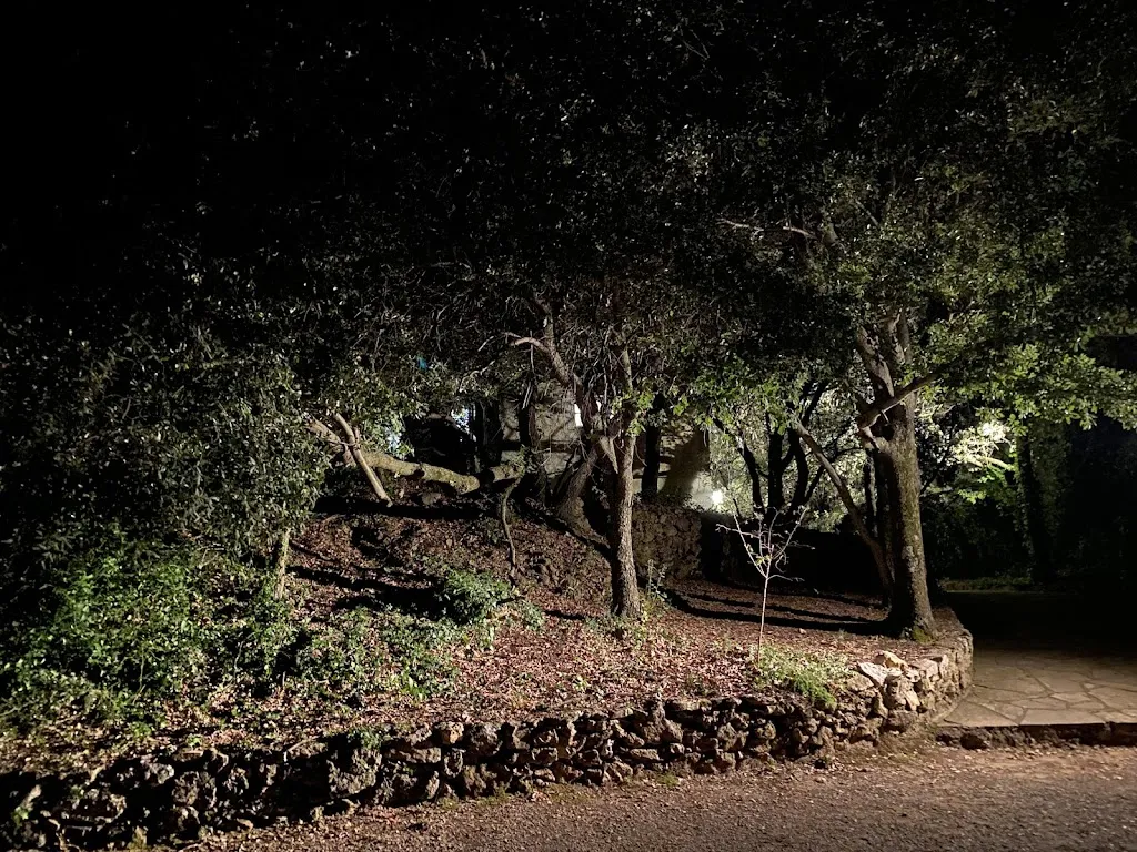 Olivier Arrachart_Les Chênes Verts_Tourtour_recensione