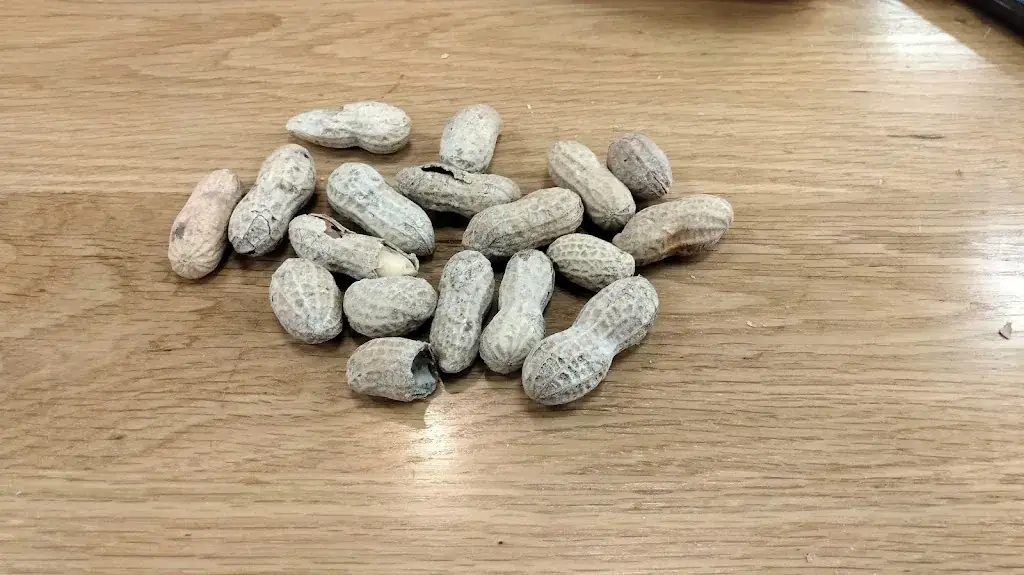 Menu_Five Guys_Marseille_image_7