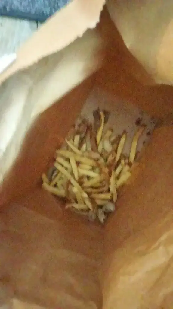 Menu_Five Guys_Marseille_image_8