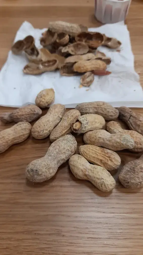 Menu_Five Guys_Marseille_image_9