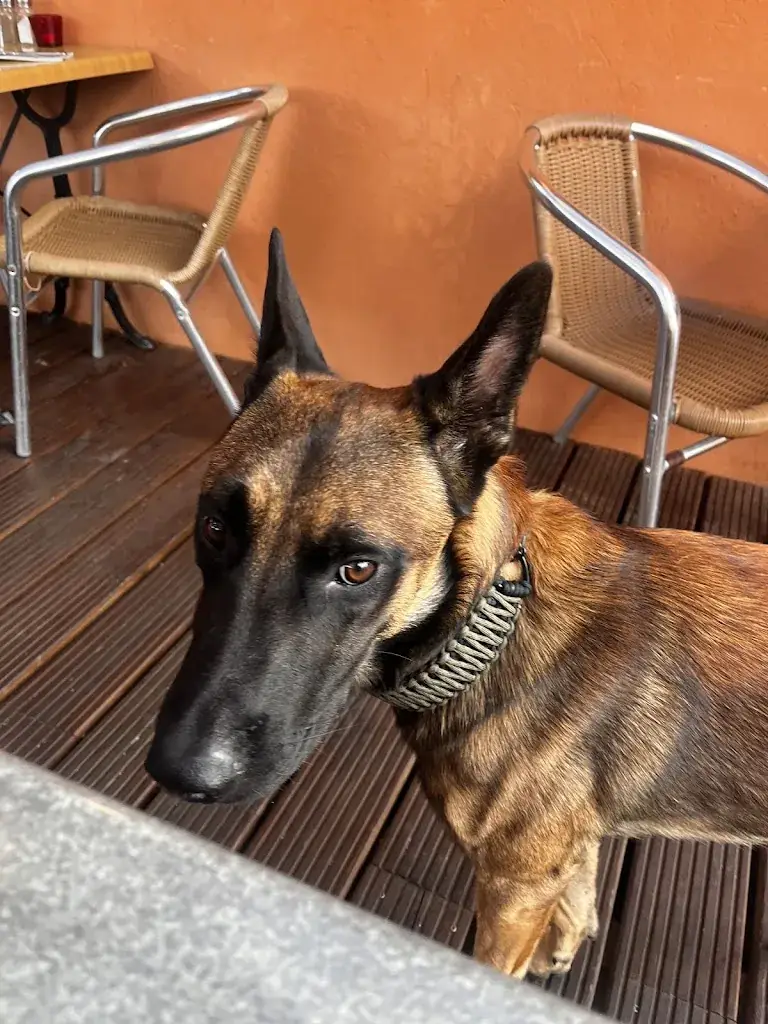 Aleksandra Banaszak_La Tavola des Gones_Pégomas_recensione