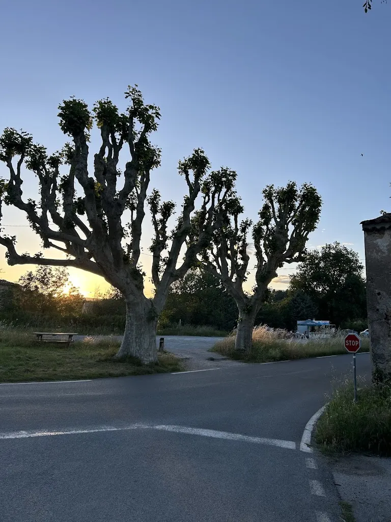 Johan Markus Mowinckel_PAOLO PIZZA_Bagnols-en-Forêt_review