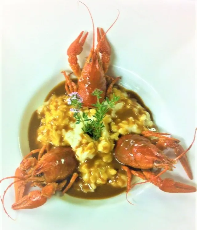 L'Oasis du Petit Galibier_Saint-Zacharie_slider_image_3