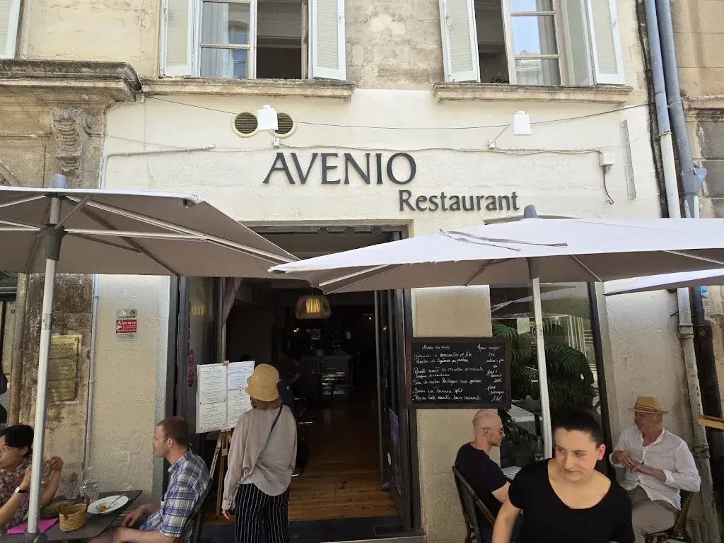 Michael Werfel_Avenio_Avignon_review