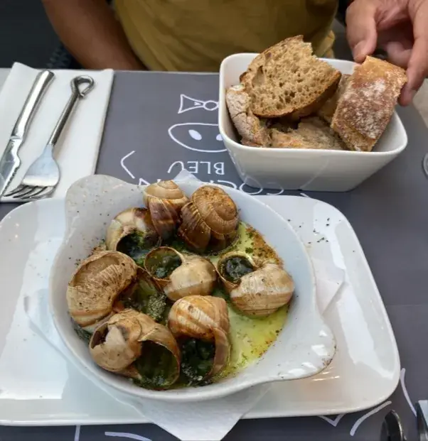 J Acharya_Restaurant le Cochon Bleu_Avignon_review