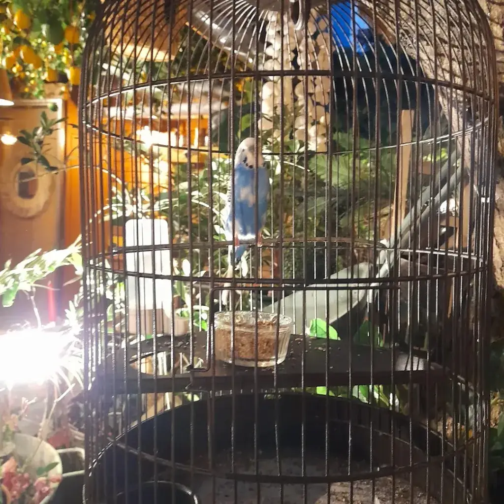 Joanna_Le FANTASTIQUE_Marseille_review