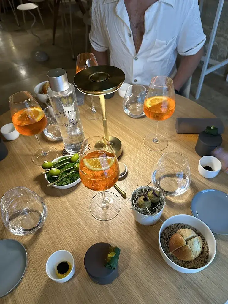 Asha Patel_Restaurant Ineffable_Barbentane_recensione