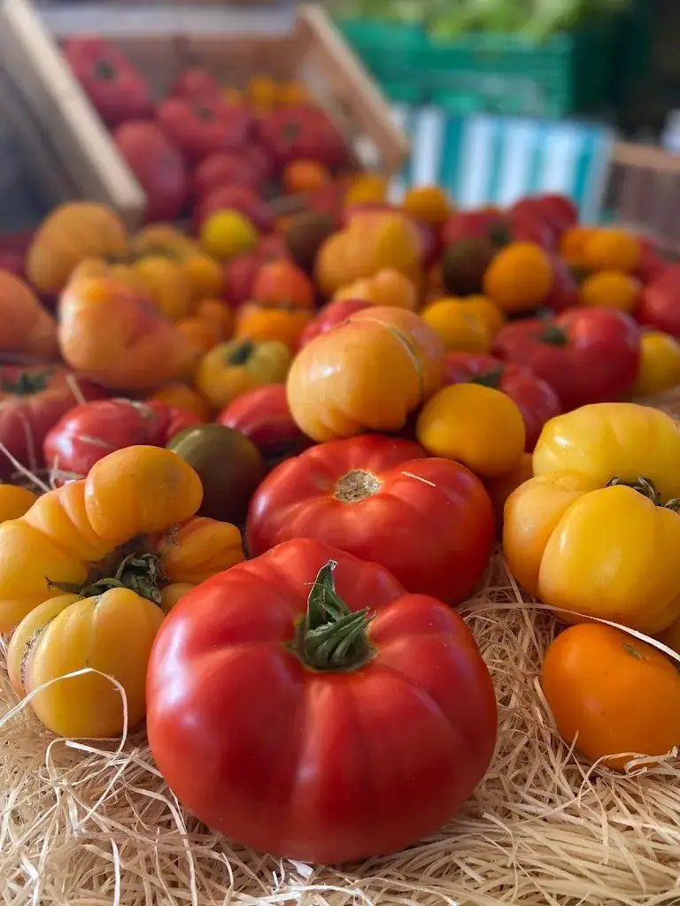 Menu_La Cabane de Marius_Barbentane_image_1