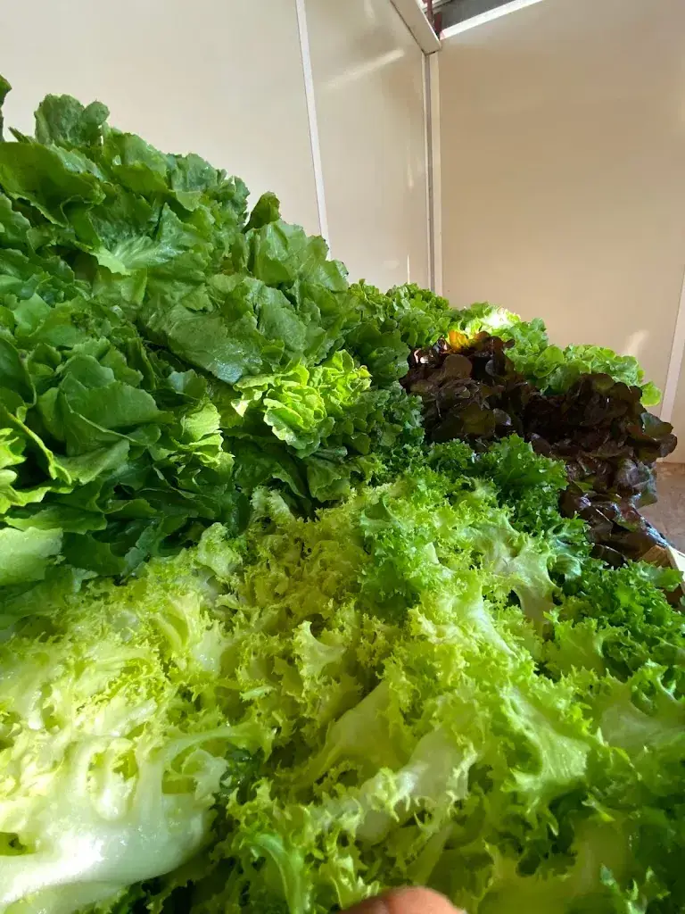 Menu_La Cabane de Marius_Barbentane_image_4