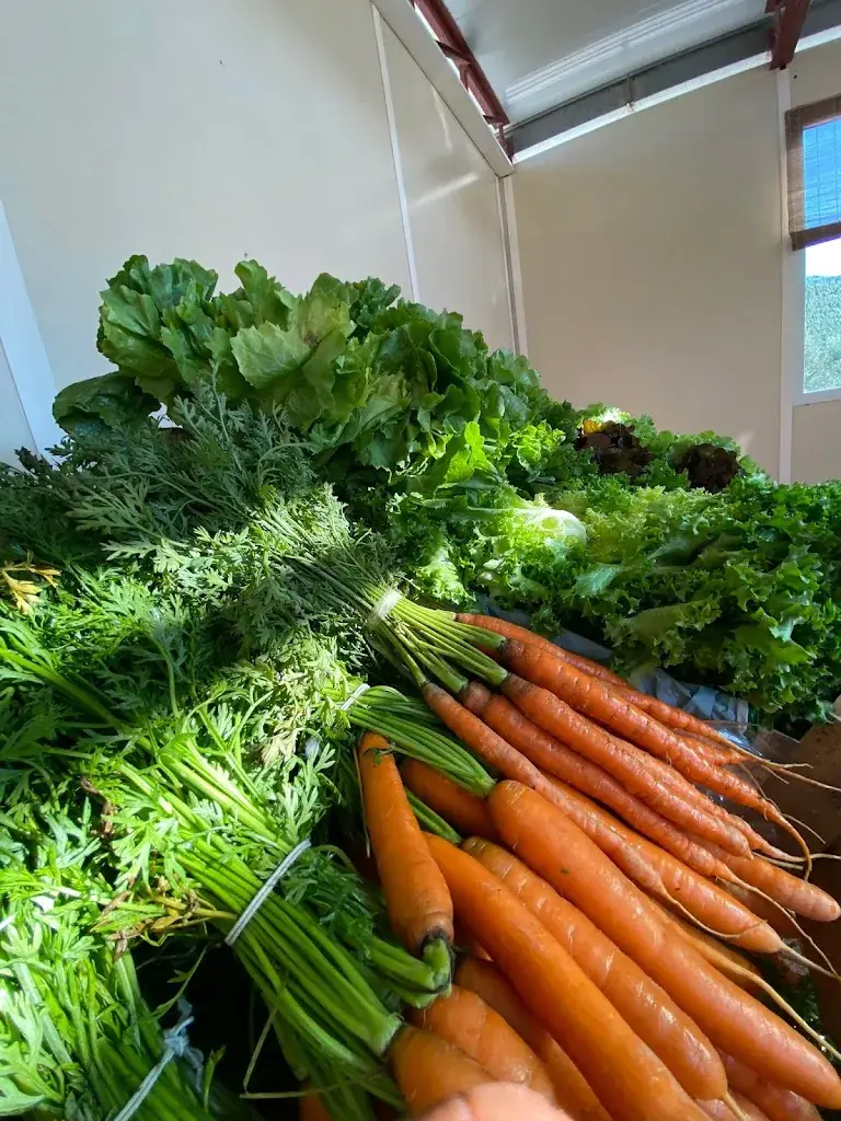 Menu_La Cabane de Marius_Barbentane_image_7