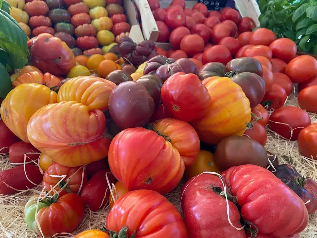 La Cabane de Marius_Barbentane_slider_image_2